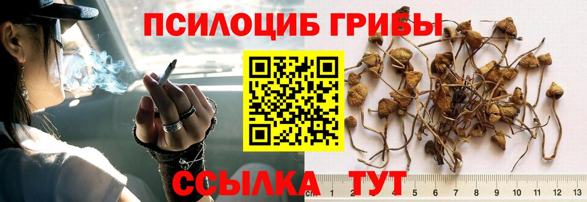 Галлюциногенные грибы Magic Shrooms  Вход с VPN  Топки  Галлюциногенные грибы прущие грибы 