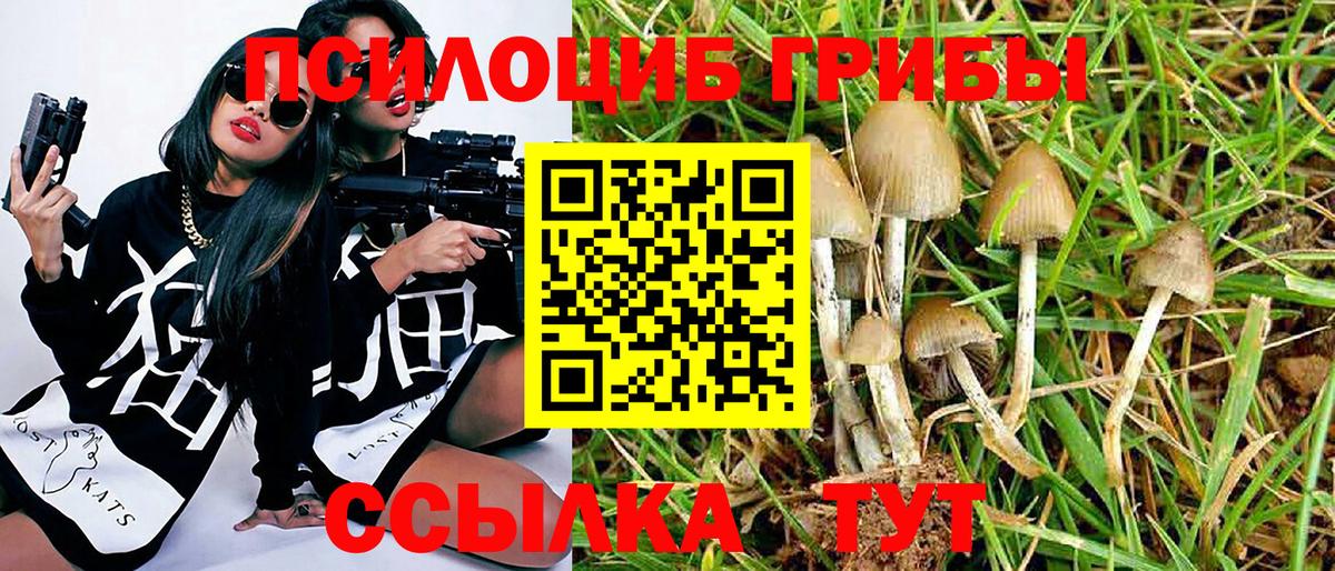 Псилоцибиновые грибы прущие грибы Топки